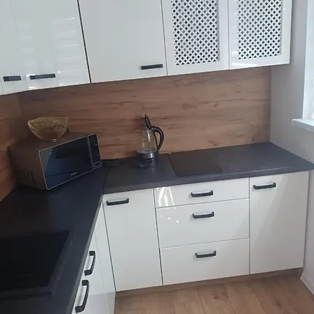 Appartement U Kasi Z Widokiem Na Zamek Malborski *