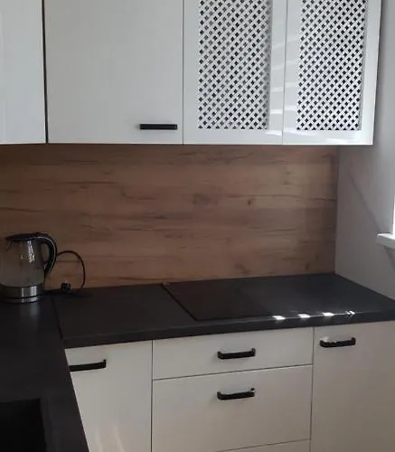 U Kasi Z Widokiem Na Zamek Malborski