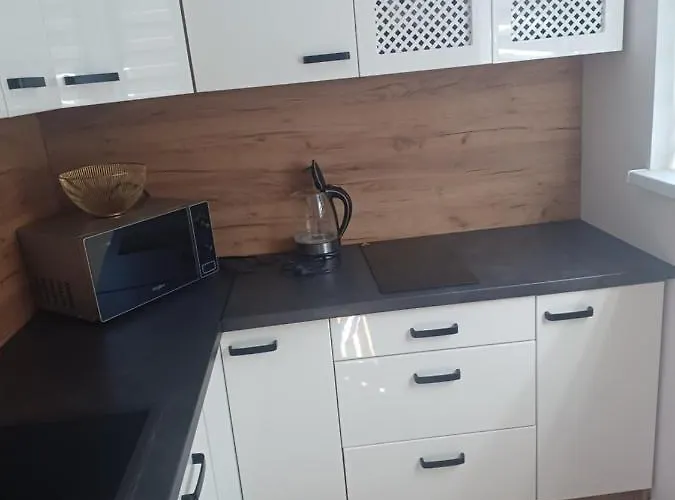 Apartamento U Kasi Z Widokiem Na Zamek Malborski *
